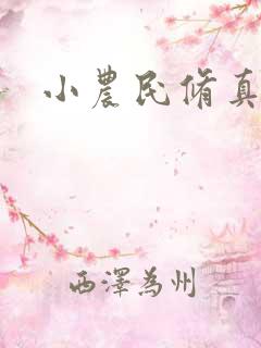小农民修真