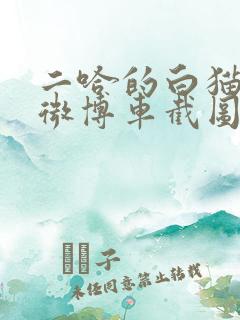 二哈的白猫师尊微博车截图