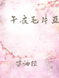 午夜毛片亚洲