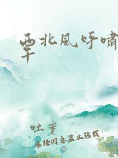 西北风呼啸的中午