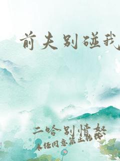 前夫别碰我