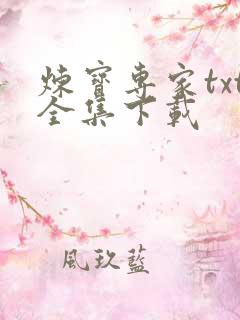 炼宝专家txt全集下载