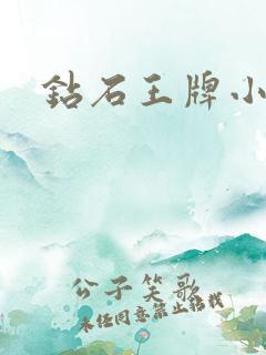 钻石王牌小说
