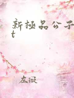 新极品公子txt