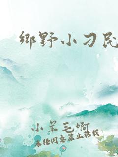 乡野小刁民