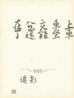 在公交车上高潮了还能坐车吗