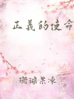 正义的使命小说