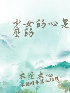 少女的心是讲什么的