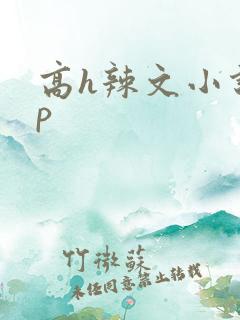 高h辣文小说np