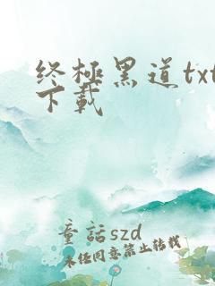 终极黑道txt下载