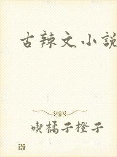 古辣文小说np