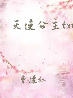 天使公主txt
