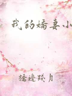 我的娇妻小说