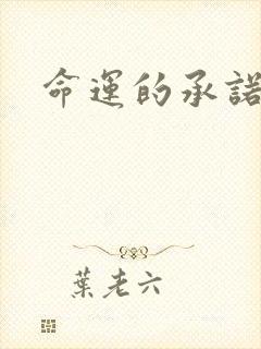 命运的承诺