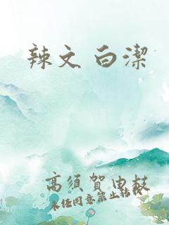 辣文 白洁