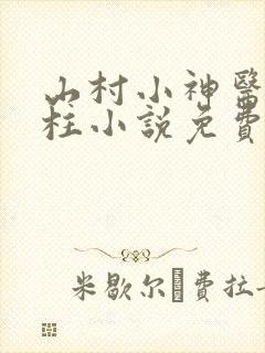 山村小神医王铁柱小说免费阅读