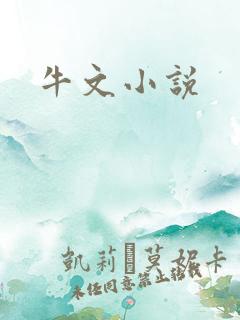 牛文小说