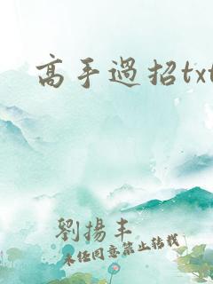 高手过招txt