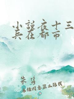 小说夜十三特种兵在都市