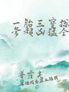 一胎三宝总裁爹爹超凶猛全文免费阅读