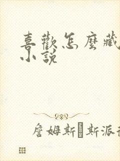 喜欢怎么藏不住小说