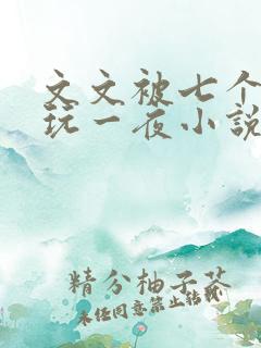 文文被七个男人玩一夜小说