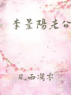 李晨阳老公