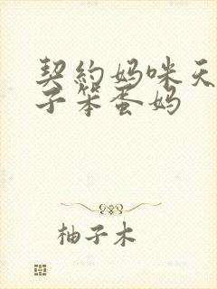 契约妈咪天才儿子笨蛋妈