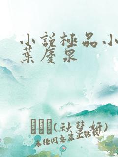 小说极品小农民叶庆泉