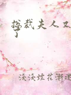 总裁夫人又征婚了