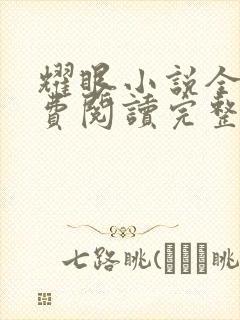 耀眼小说全文免费阅读完整版