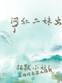 网红二妹出啥事了