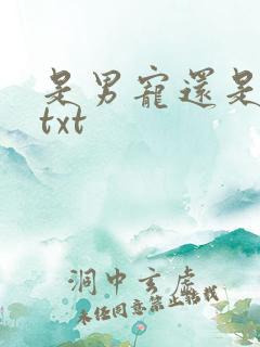 是男宠还是禁脔txt