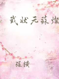 武状元苏灿