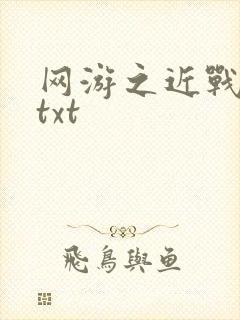 网游之近战法师txt