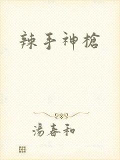 辣手神枪