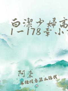白洁少妇高义第1一178章小说
