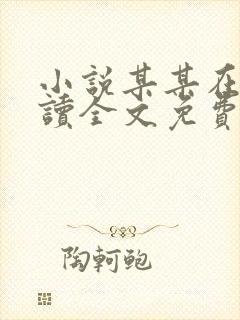 小说某某在线阅读全文免费