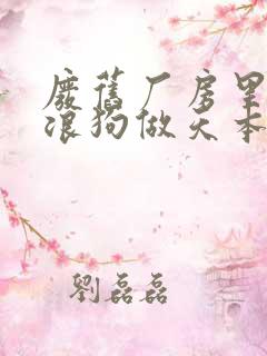 废旧厂房里和流浪狗做天本