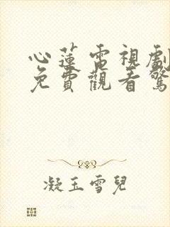 心莲电视剧全集免费观看惊世媳妇