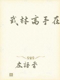 武林高手在官场