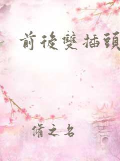 前后双插头互攻