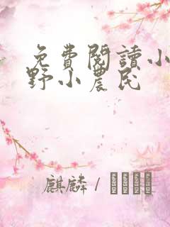 免费阅读小说山野小农民