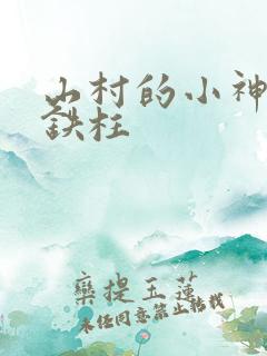 山村的小神医王铁柱