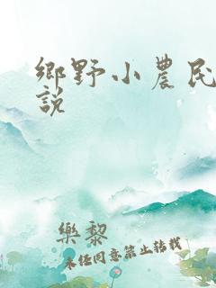 乡野小农民 小说