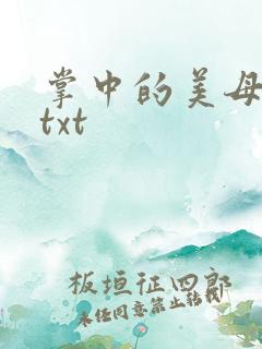 掌中的美母版主txt
