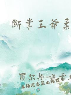 断掌王爷柔水妃
