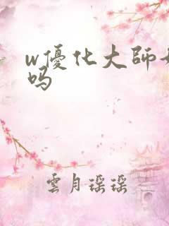 w优化大师好用吗