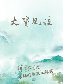 大宝风流