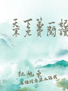 天下第一妃萧千寒免费阅读